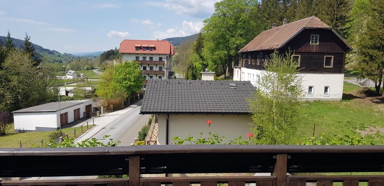 Haus Elena Am Semmering Штайнхаус-ам-Земмеринг Экстерьер фото