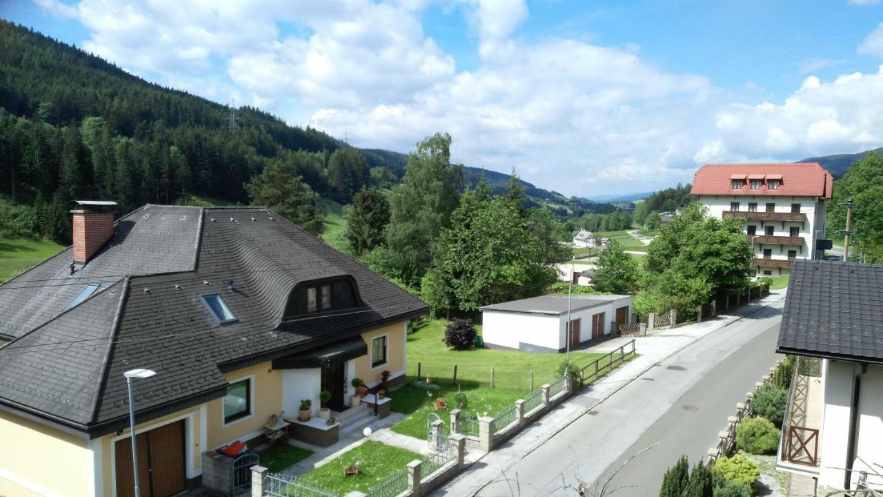 Haus Elena Am Semmering Штайнхаус-ам-Земмеринг Экстерьер фото