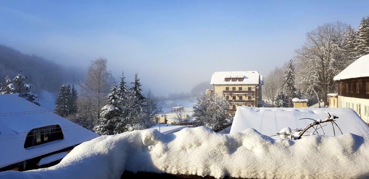 Haus Elena Am Semmering Штайнхаус-ам-Земмеринг Экстерьер фото